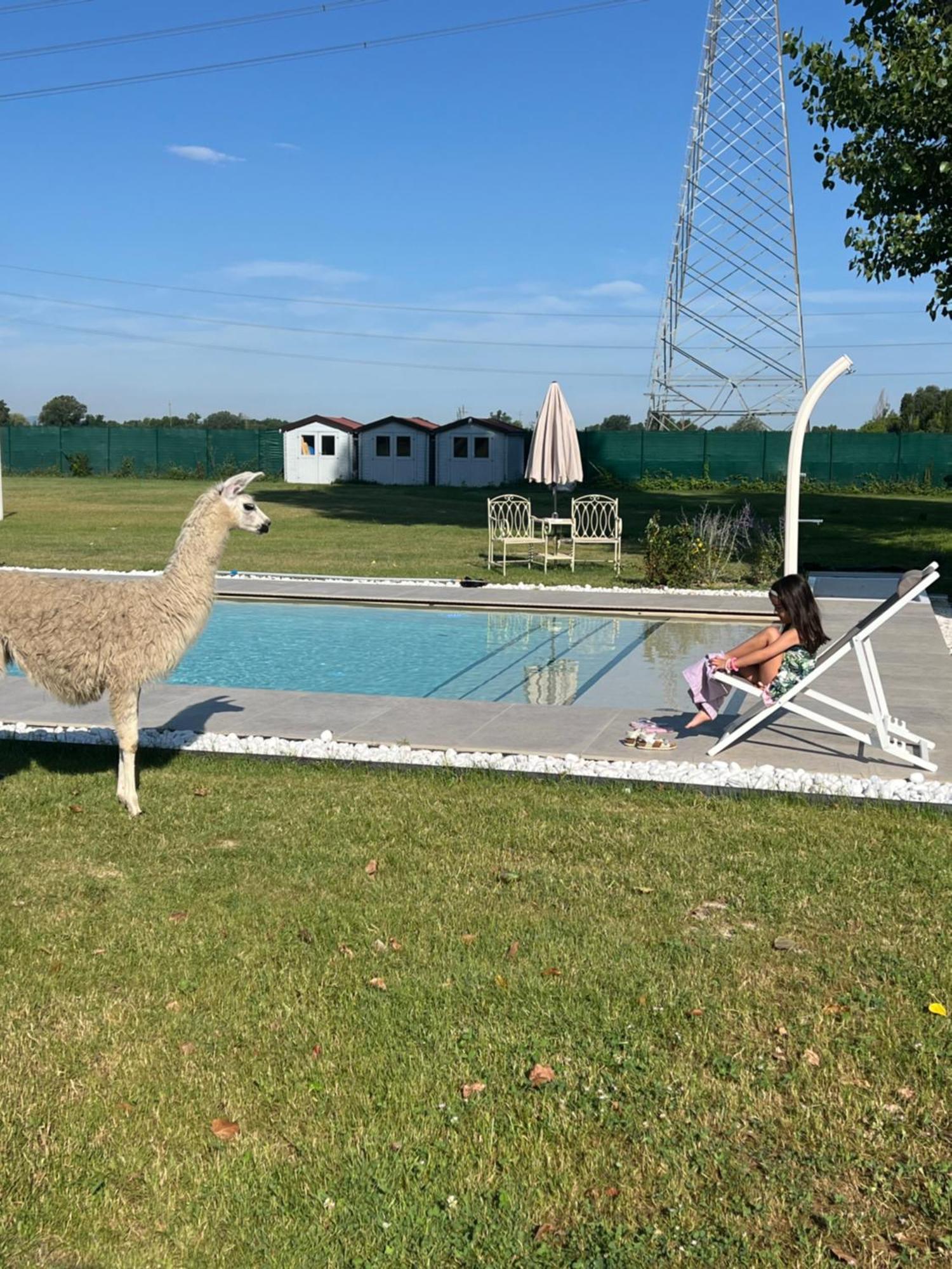 Villa Iris Modena Eksteriør billede